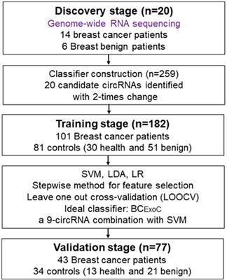 Plasma-Derived Extracellular Vesicles Circular RNAs Serve as Biomarkers for Breast Cancer Diagnosis